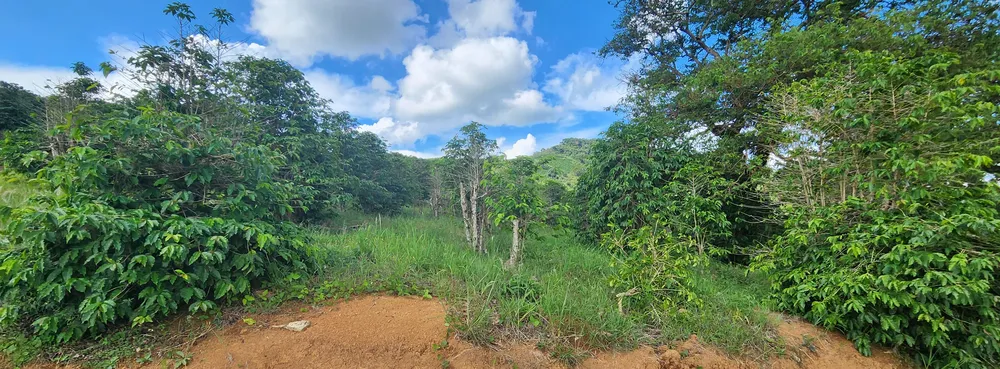 Fazenda, 109 hectares - Foto 2