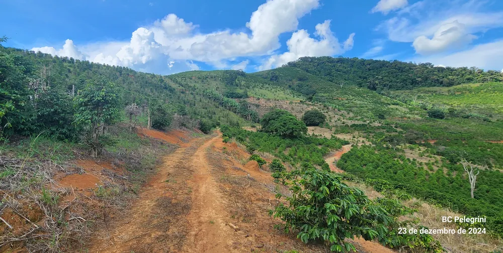 Fazenda, 109 hectares - Foto 8