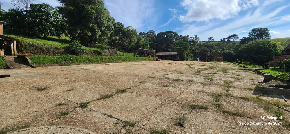 Fazenda, 109 hectares - Foto 10