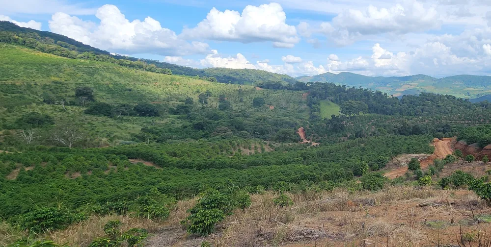 Fazenda, 109 hectares - Foto 12