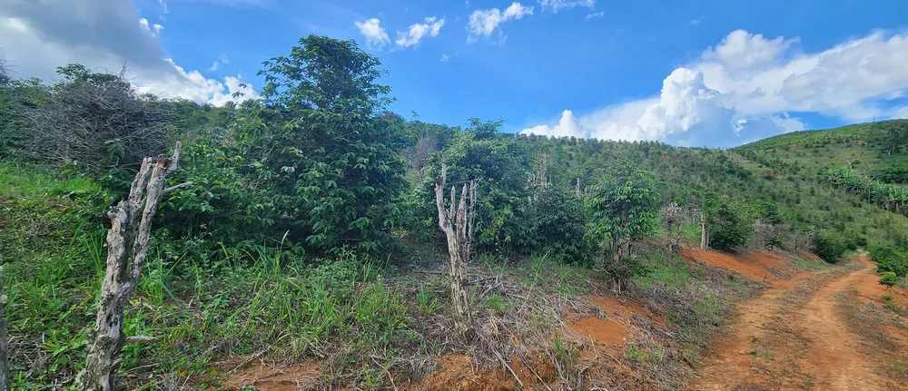 Fazenda, 109 hectares - Foto 6