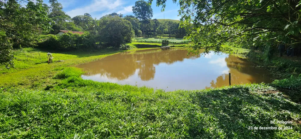 Fazenda, 109 hectares - Foto 9