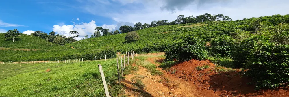 Fazenda, 109 hectares - Foto 1