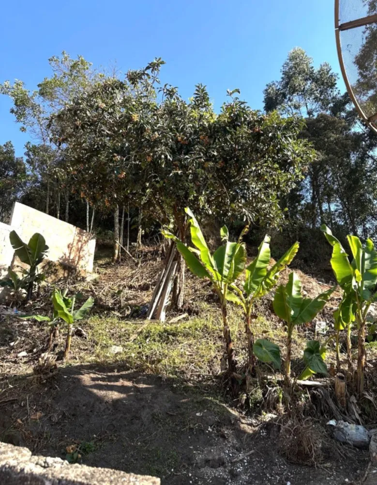 Casa, 8 quartos, 364 m² - Foto 6
