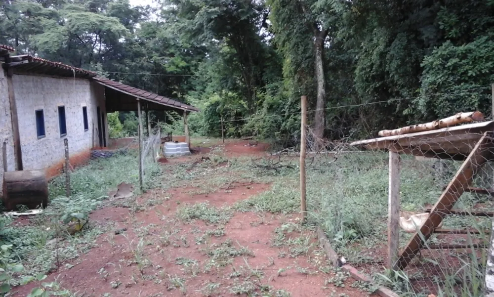 Terreno, 4000 m² - Foto 7