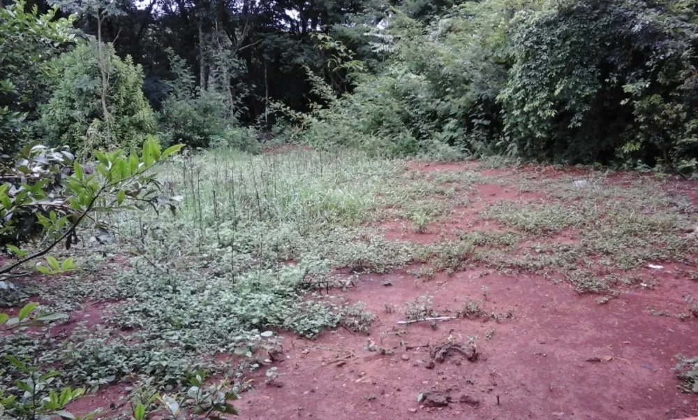 Terreno, 4000 m² - Foto 10