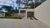 Apartamento, 2 quartos, 53 m² - Foto 1