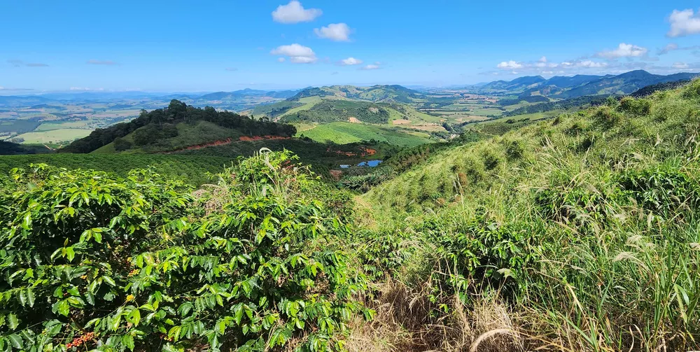 Chácara à venda com 4 quartos, 1500000m² - Foto 17