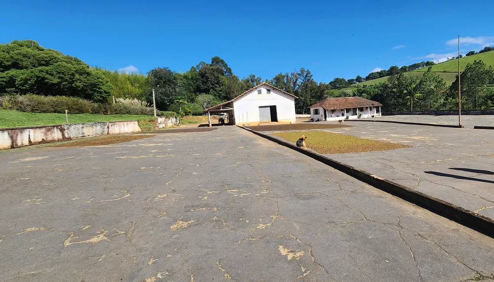 Chácara à venda com 4 quartos, 1500000m² - Foto 2