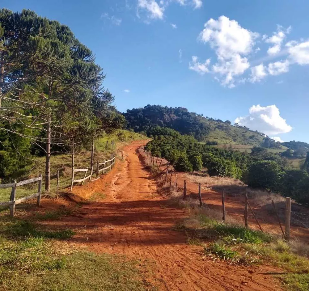 Chácara à venda com 4 quartos, 1500000m² - Foto 22