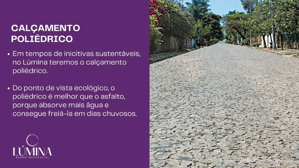Terreno - Foto 7