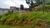 Terreno, 720 m² - Foto 2