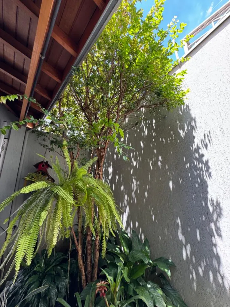 Casa, 4 quartos, 400 m² - Foto 5