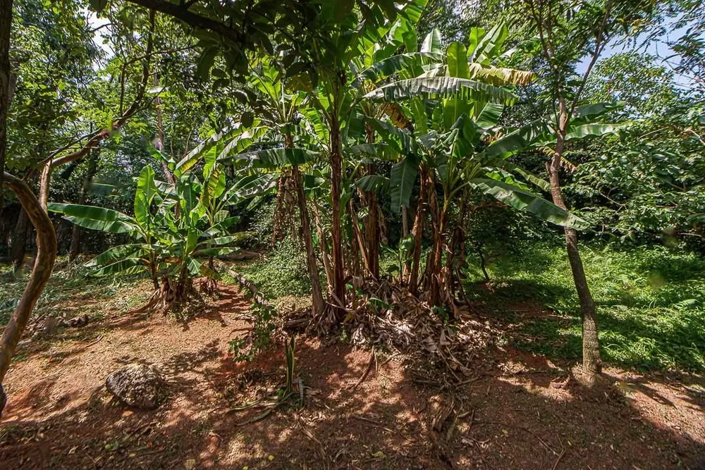 Casa, 4 quartos, 420 m² - Foto 8
