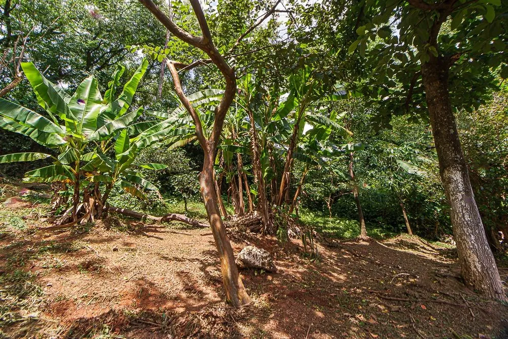 Casa, 4 quartos, 420 m² - Foto 7