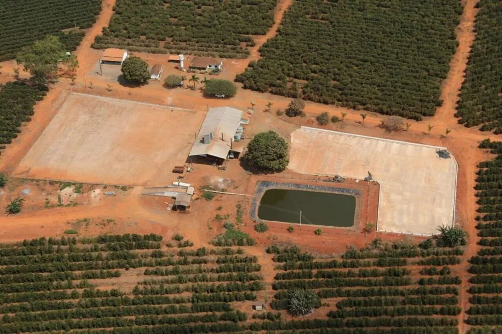 Fazenda, 146 hectares - Foto 6