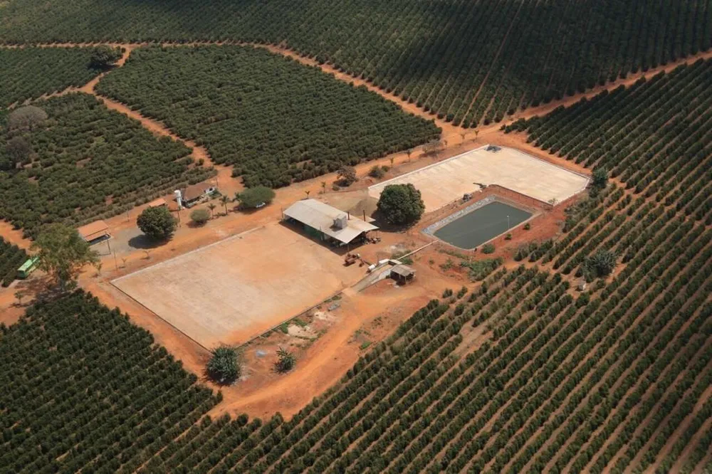Fazenda, 146 hectares - Foto 4