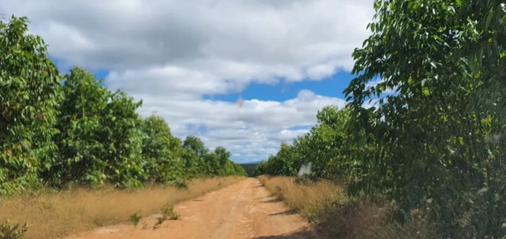 Fazenda, 146 hectares - Foto 2