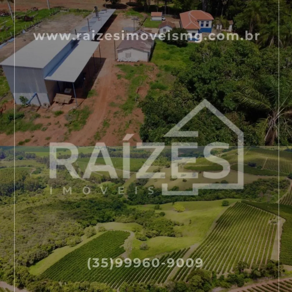 Fazenda, 1 quarto - Foto 4