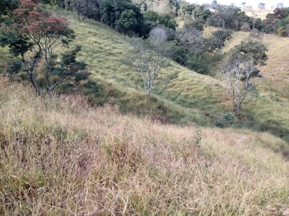 Terreno, 140000 m² - Foto 8