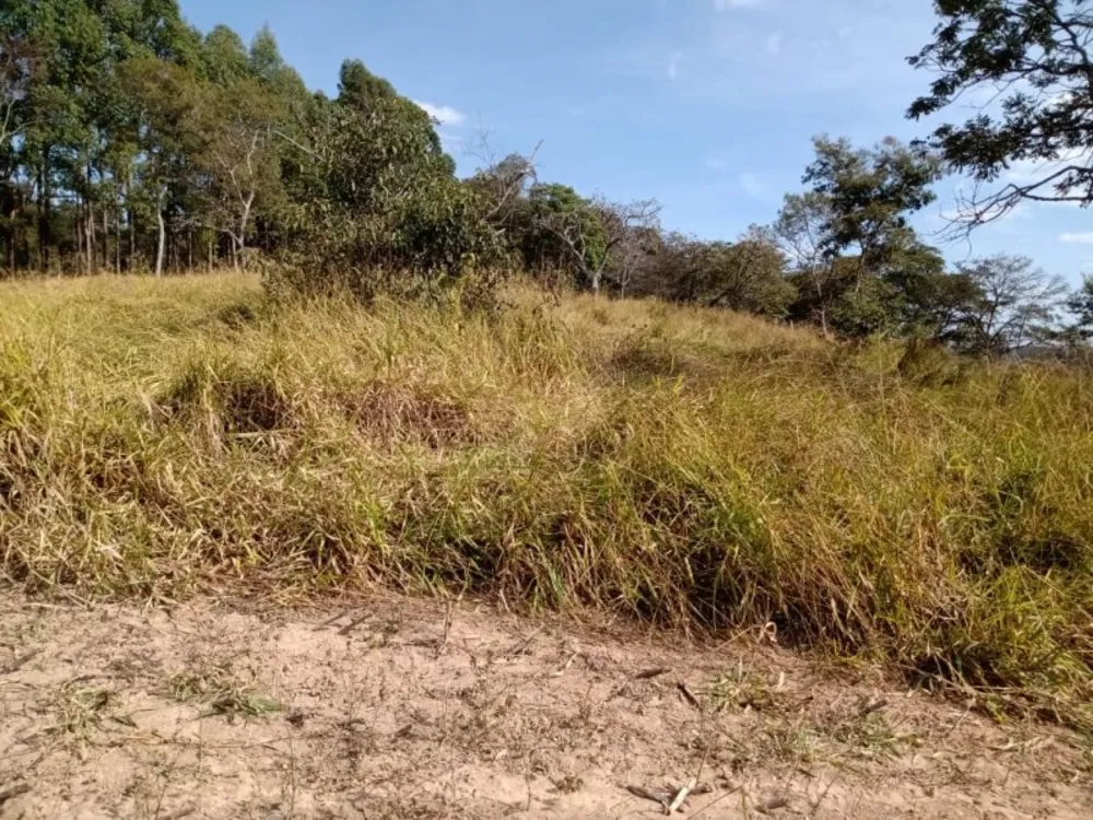 Terreno, 140000 m² - Foto 2