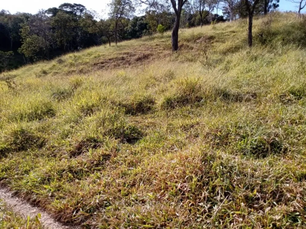 Terreno, 140000 m² - Foto 9