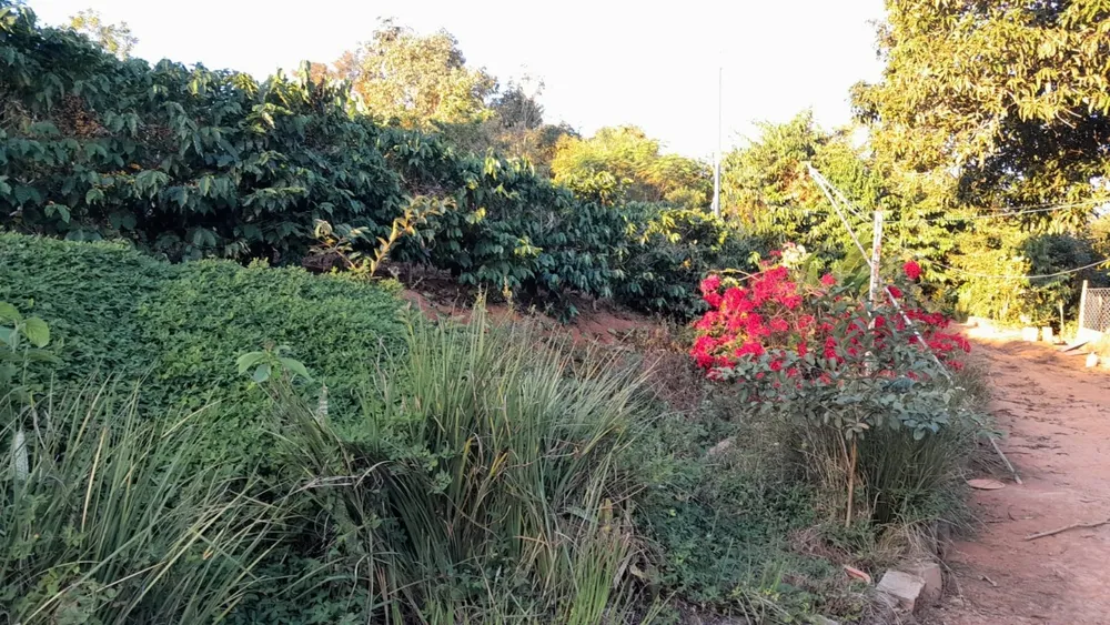 Chácara, 1 quarto - Foto 2