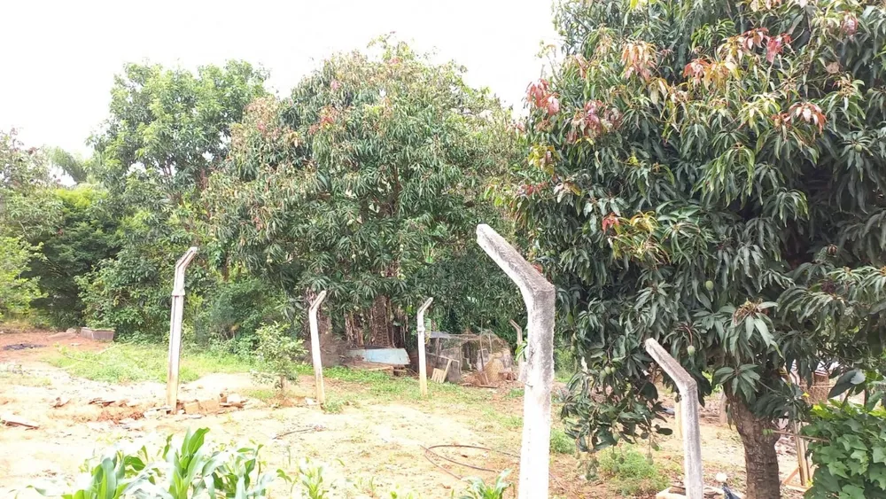 Chácara, 1 quarto - Foto 8