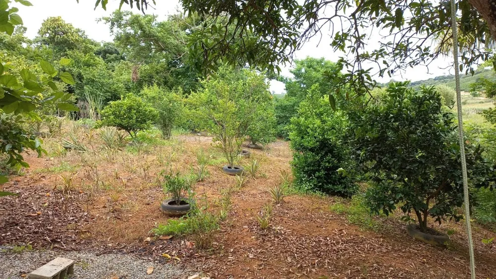 Chácara, 1 quarto - Foto 10