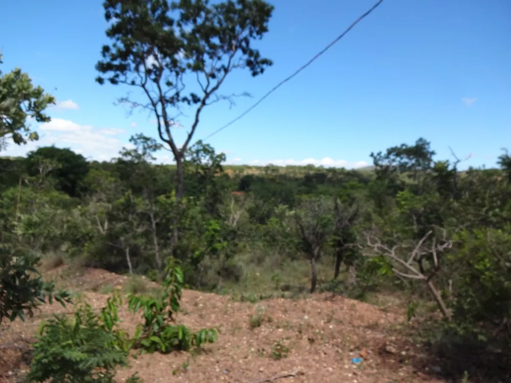 Chácara, 1 quarto - Foto 4