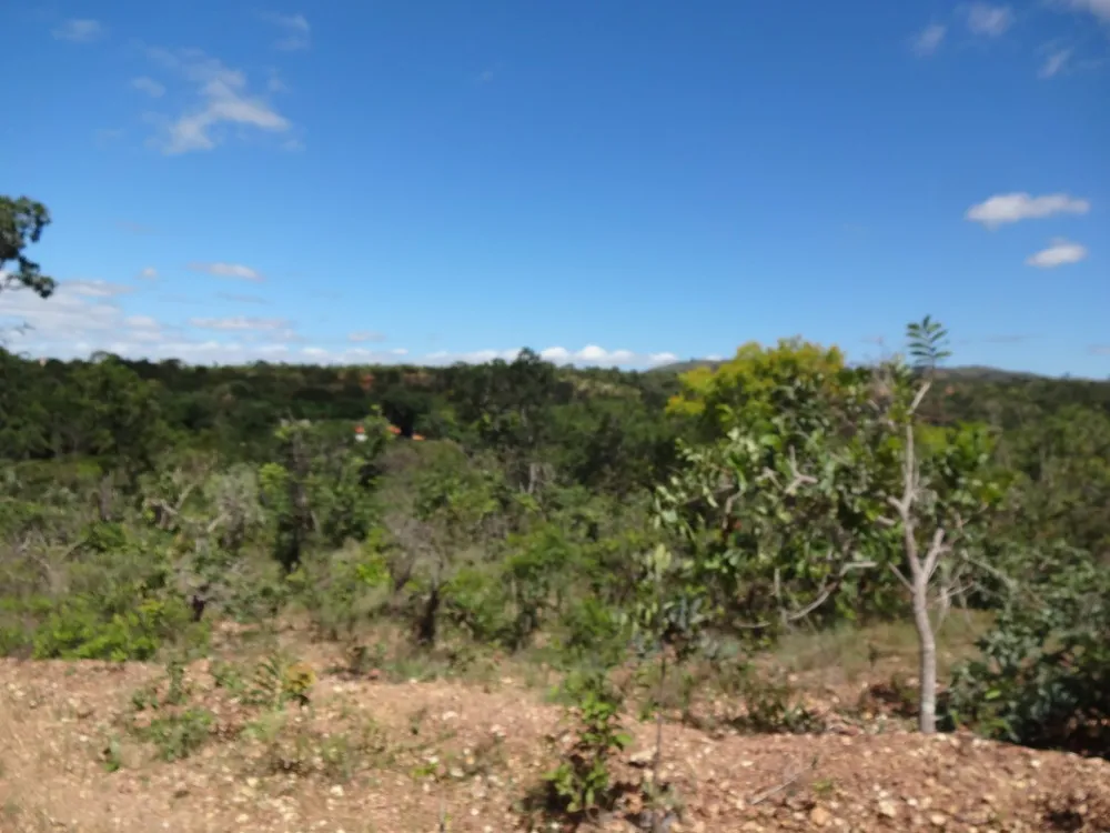 Terreno, 10000 m² - Foto 11