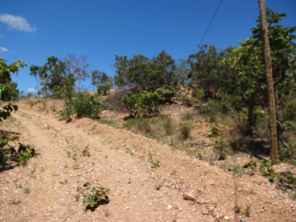 Terreno, 10000 m² - Foto 4