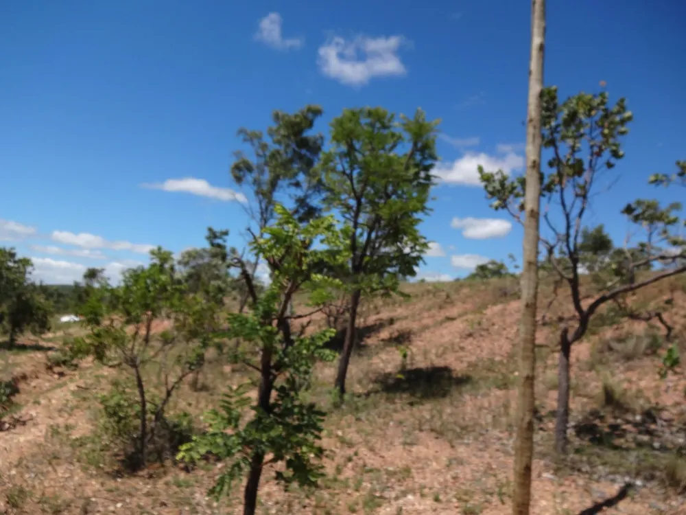 Terreno, 10000 m² - Foto 7