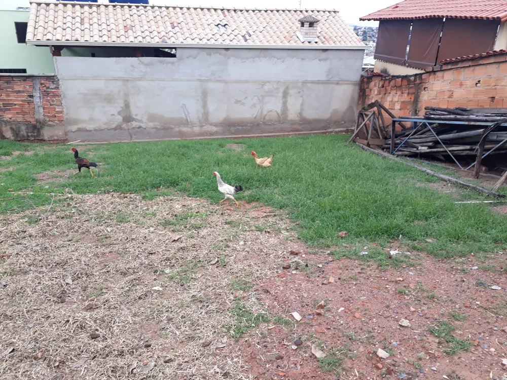 Terreno, 360 m² - Foto 6