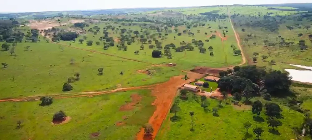 Fazenda, 1800 hectares - Foto 3
