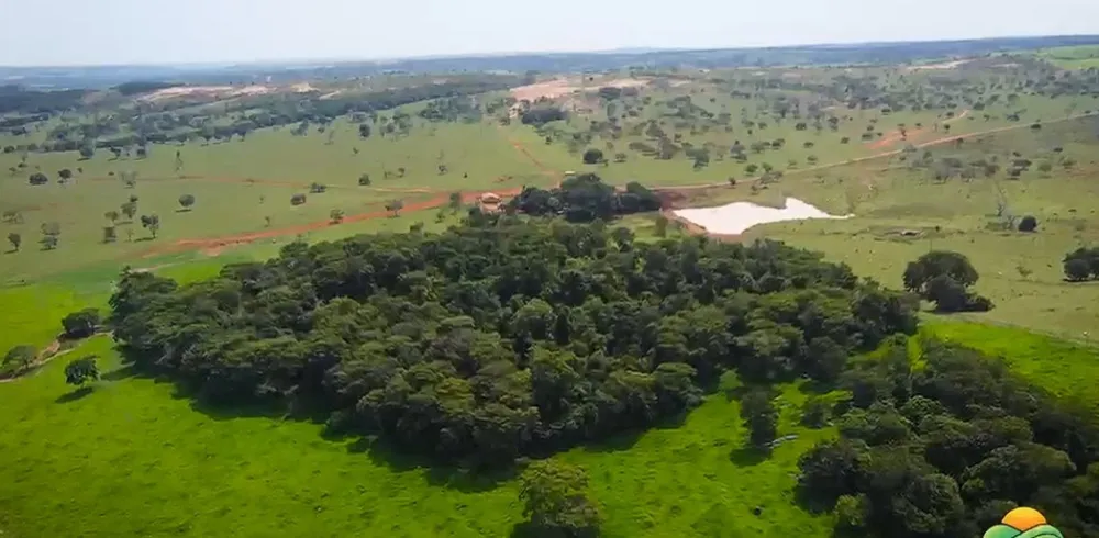 Fazenda, 1800 hectares - Foto 4
