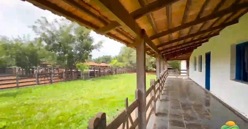 Fazenda, 1800 hectares - Foto 8