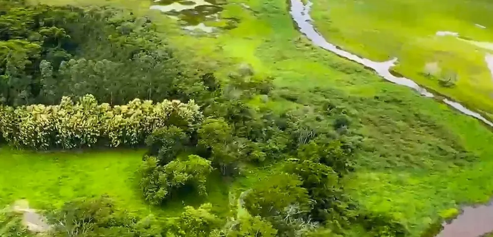 Fazenda, 1800 hectares - Foto 1