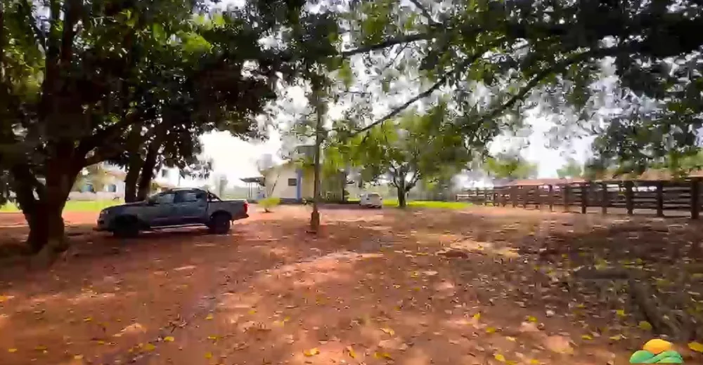 Fazenda, 1800 hectares - Foto 7