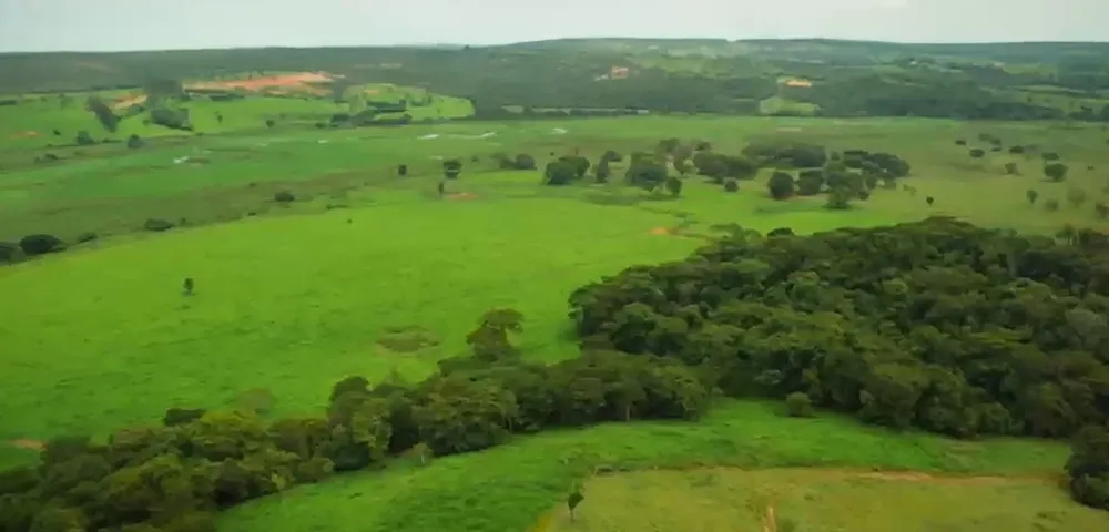 Fazenda, 1800 hectares - Foto 2