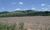 Fazenda, 711 hectares - Foto 1