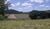 Fazenda, 711 hectares - Foto 3