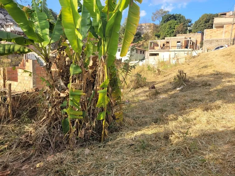 Terreno, 360 m² - Foto 1