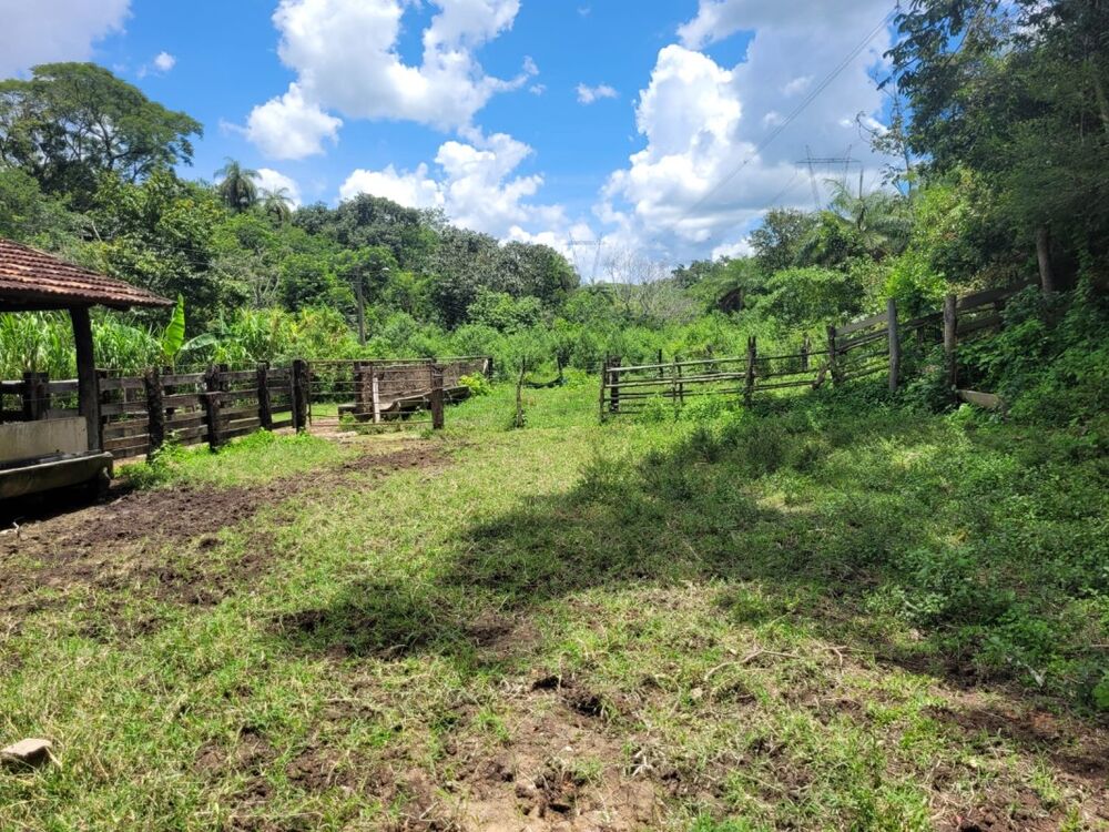 Fazenda à venda com 1 quarto, 280000m² - Foto 2