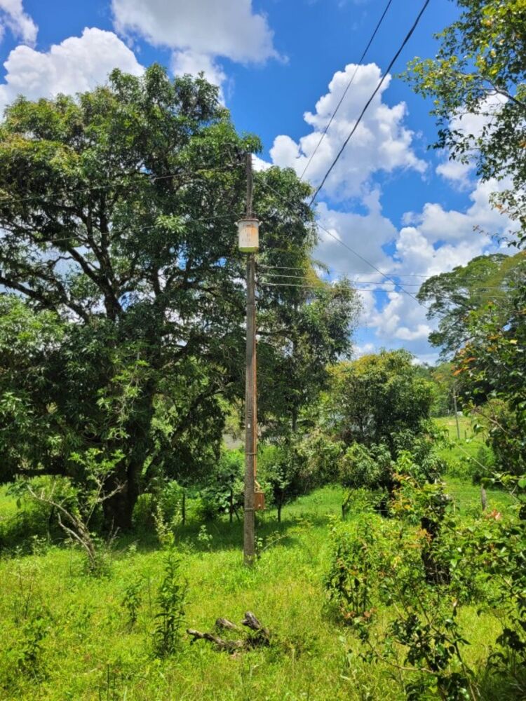 Fazenda à venda com 1 quarto, 280000m² - Foto 8