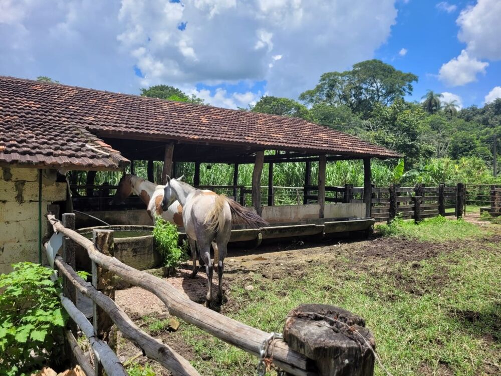 Fazenda à venda com 1 quarto, 280000m² - Foto 1