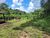 Fazenda, 1 quarto - Foto 2