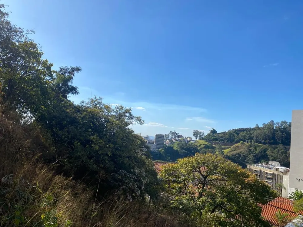 Casa, 4 quartos, 462 m² - Foto 13