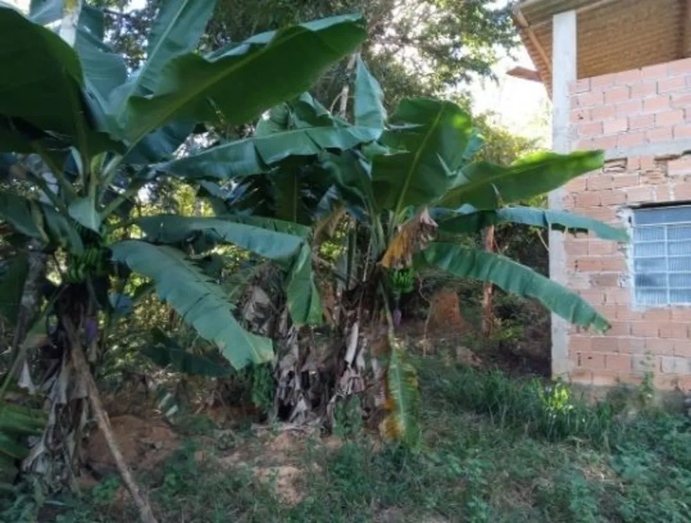 Chácara, 3 quartos, 1 hectares - Foto 3