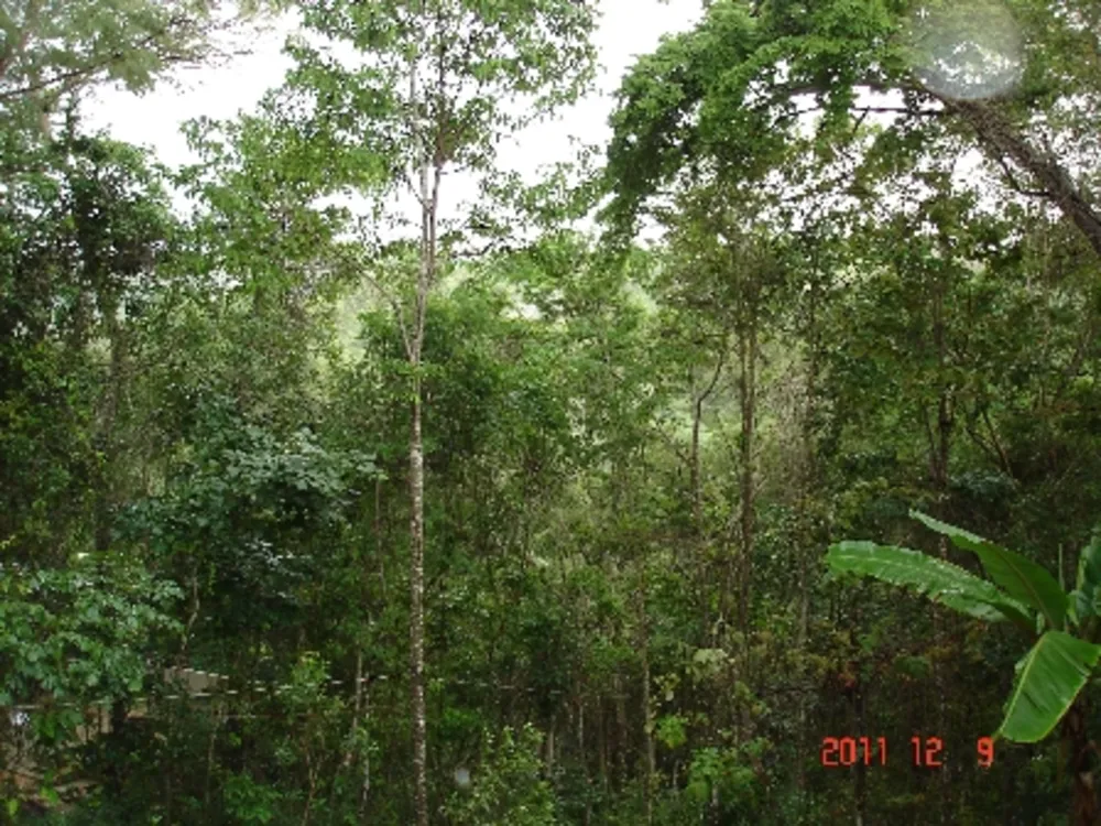 Chácara, 3 quartos, 1 hectares - Foto 10